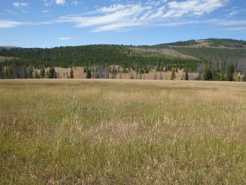 GDMBR: Grassland/Rangeland.